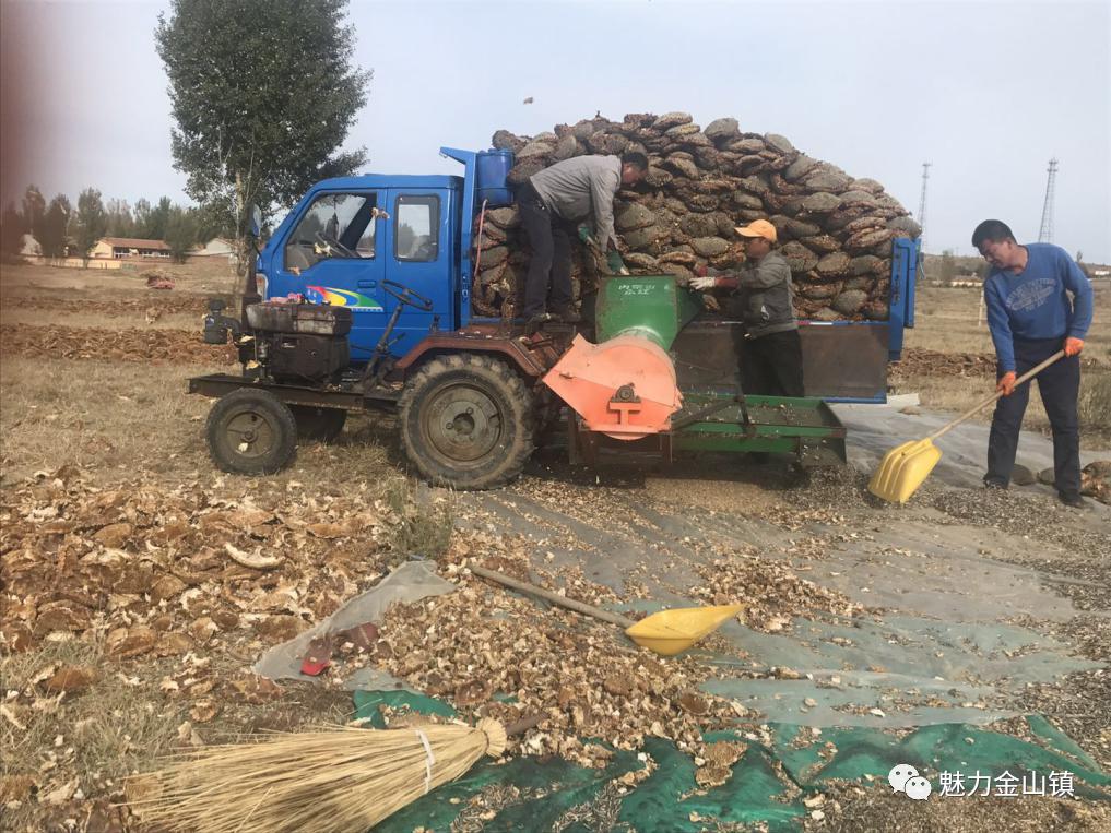 固阳县金山镇新时代文明实践,喜报固阳县文明创建再添荣誉