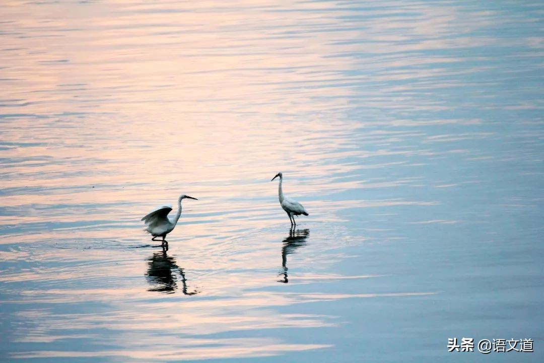 50组易混淆的成语你真的用对了吗,大公无私和铁面无私的辨析