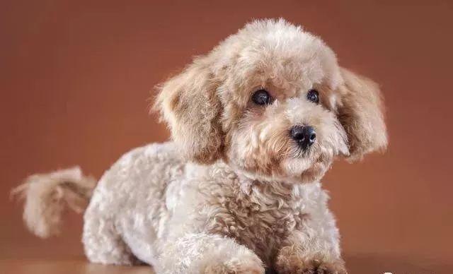 分享几个零投资的赚钱方法,分享2024年最赚钱的10个小项目