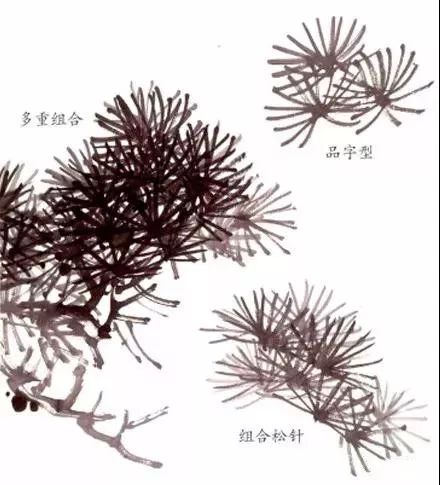 图文教程松树画法步骤解析,图文教程松树画法