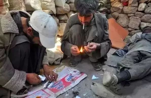 蝎子有毒但无毒,蝎子能当烟抽吗