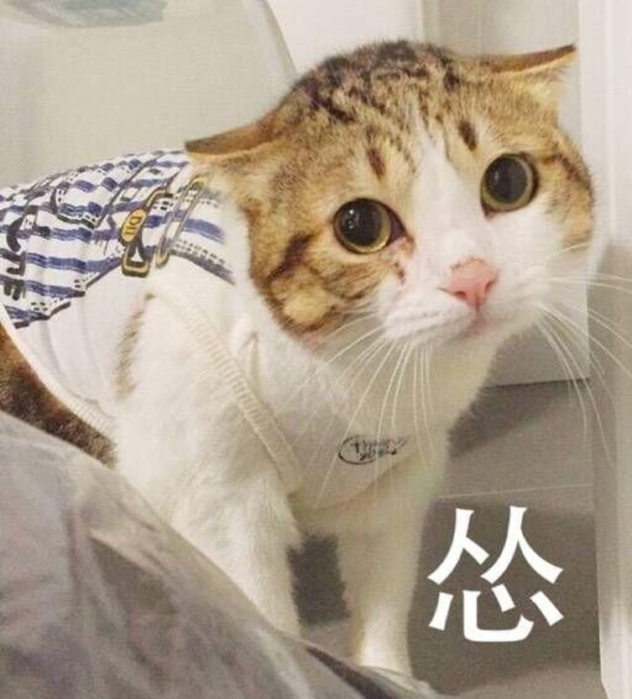 关中方言怂,陕西人说怂的顺口溜