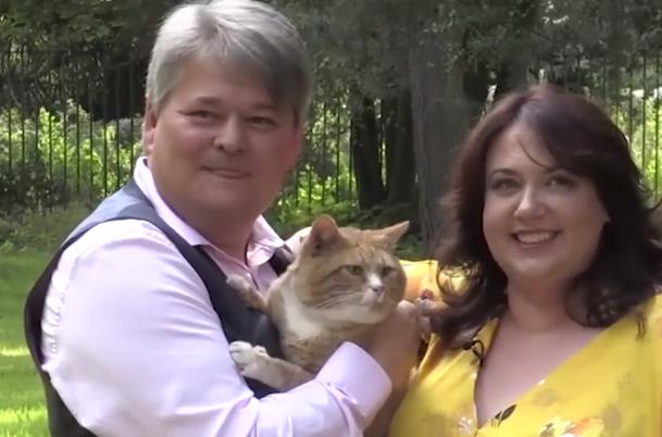 招财猫涉嫌哪些违法,招财猫涉嫌侵权