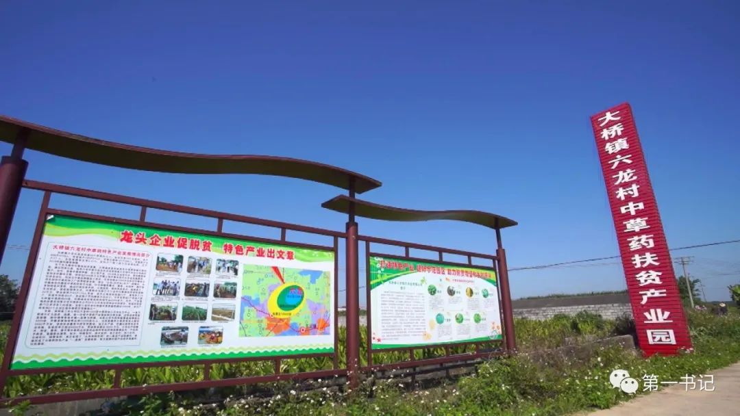 广西乡村振兴带动脱贫,乡村振兴宾阳