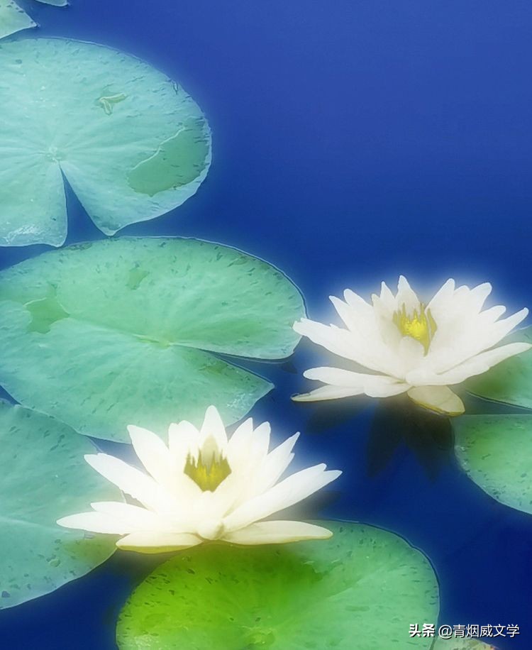 摄影图片大小要求,照相图片设置多大合适