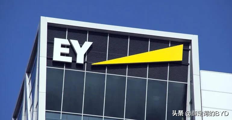 世界四大会计师事务所,世界四大会计师事务所简历