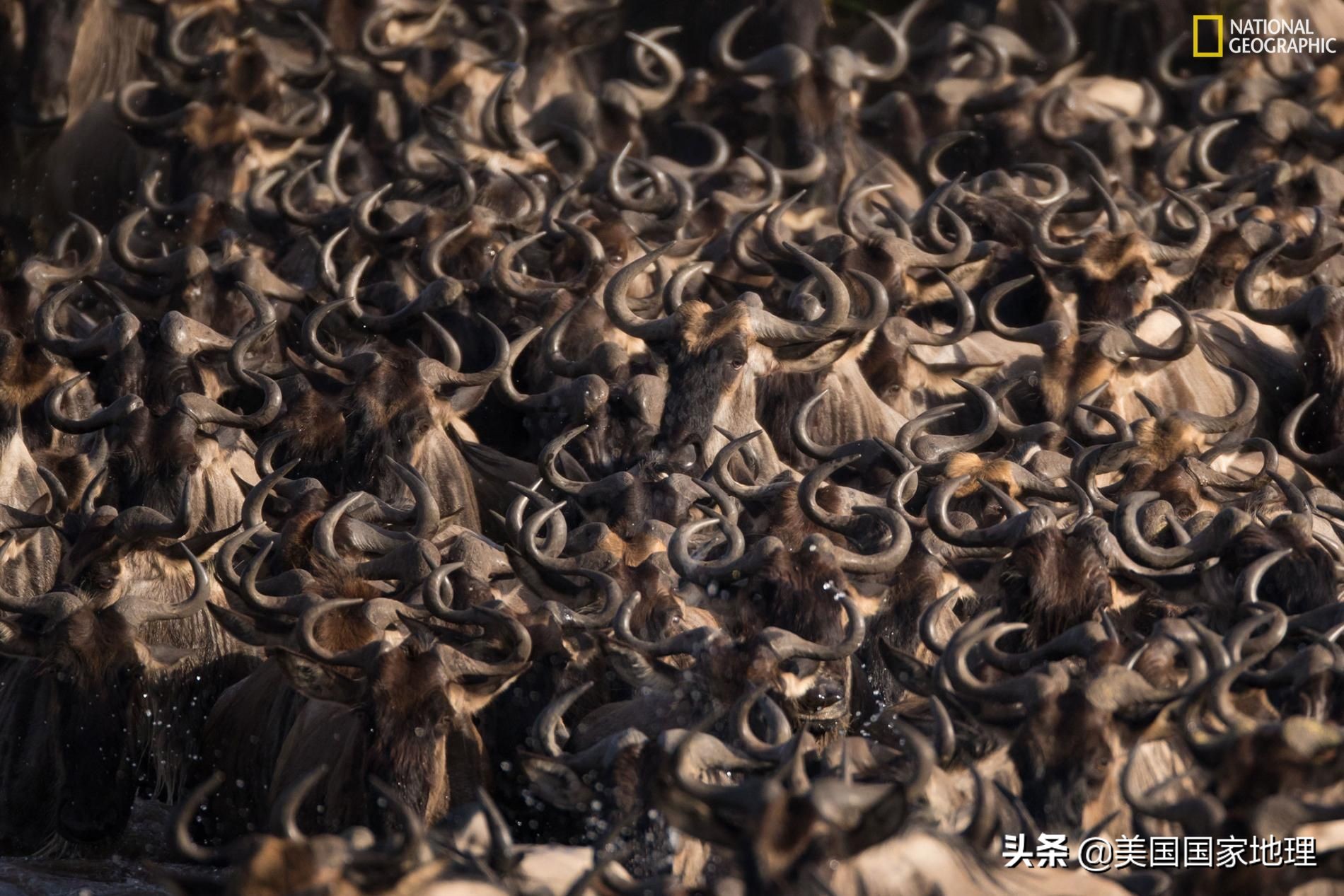 万中选一！大自然是怎样赋予照片灵魂的？