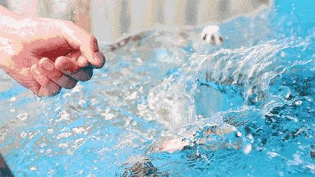 周末亲子行徒手抓鱼乐丨神水台村真人版“捕鱼达人”劲爆来袭!!