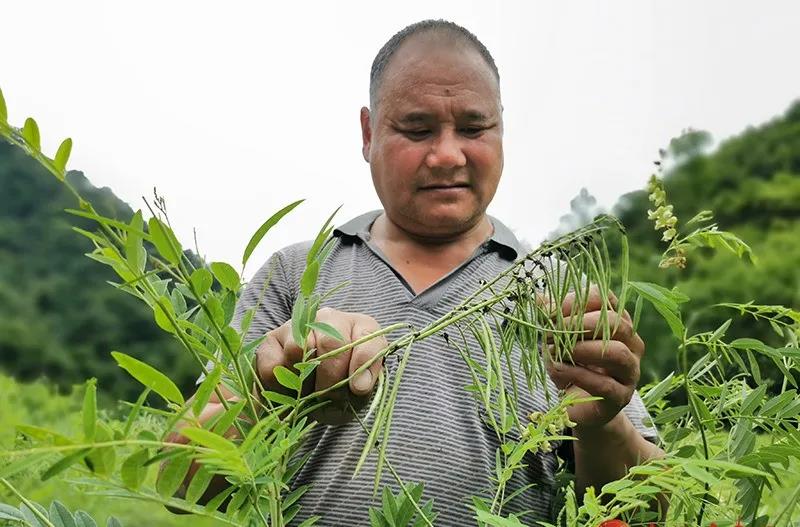 一组勤一组勤劳致富图,你被哪张击中了?