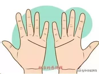 手相之感情线揭露感情的秘密,手相感情线大全图