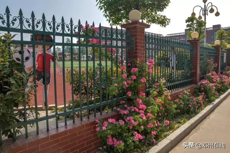 2021河南最美校园,被称为河南省最美校园