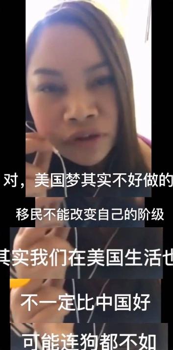 网红第一人罗玉凤,网红罗玉凤现象