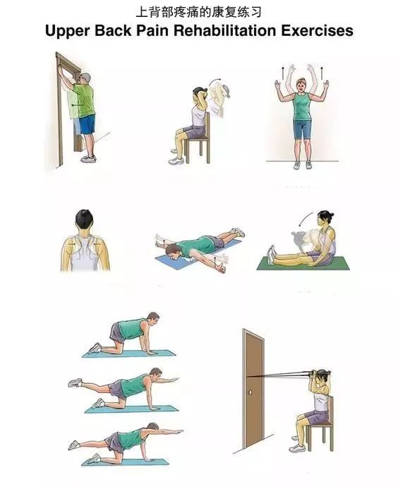 零基础瑜伽改善弓腰驼背,儿童驼背瑜伽矫正方法每天10分钟