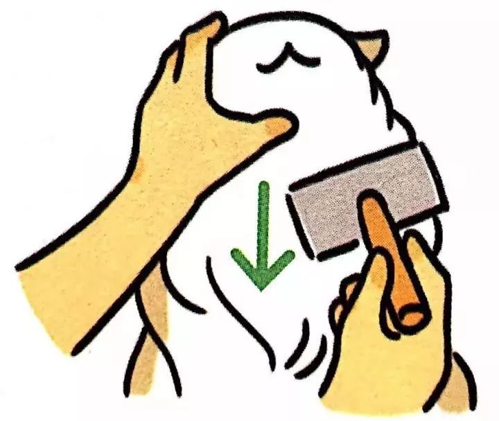 给猫梳毛能防止掉毛吗,给猫梳毛为什么猫会舒服