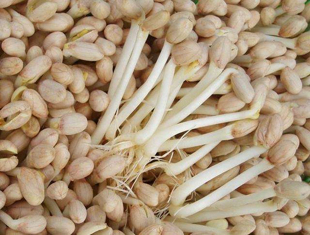 儿童豆芽菜,小孩吃豆芽菜的好处