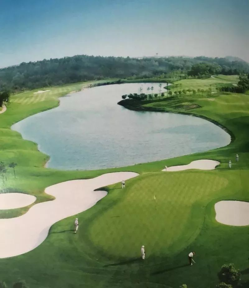 2020武汉大爆发,武汉再次爆发