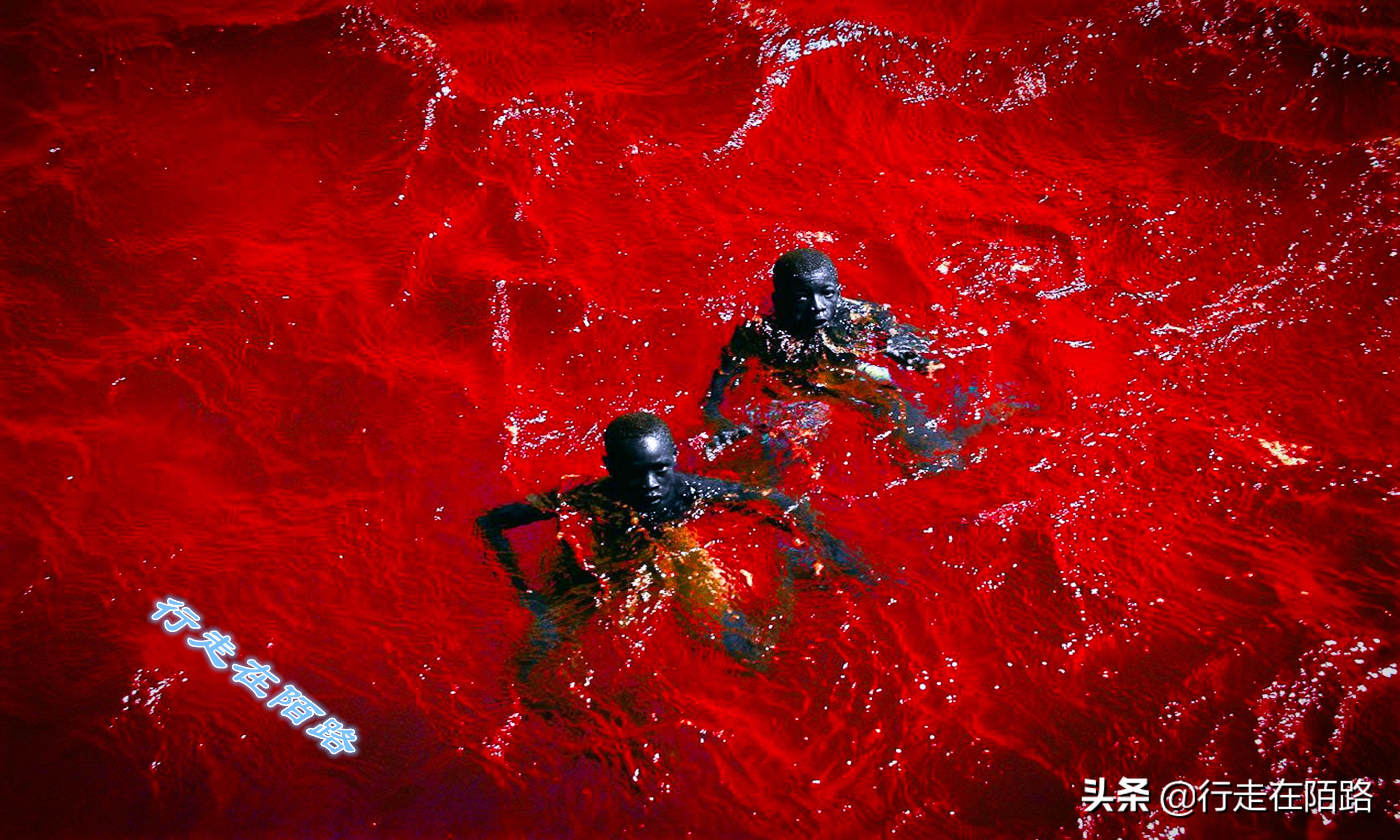 非洲死海：湖深一米采盐直接捞，每升湖水含盐380克