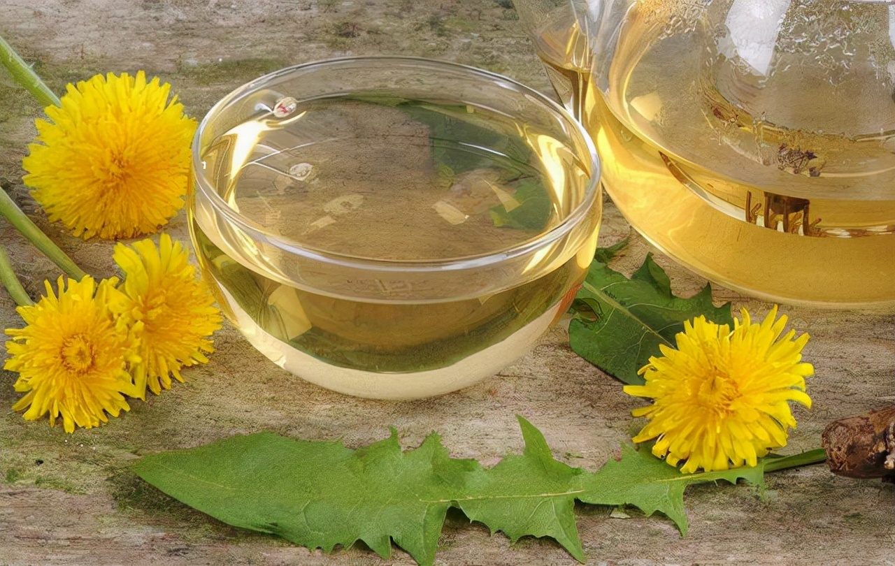 喝蒲公英消除结节是真还是假,五十岁大姐喝蒲公英消结节