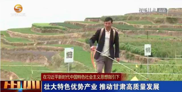 你好庆阳,庆阳新闻2021年7月