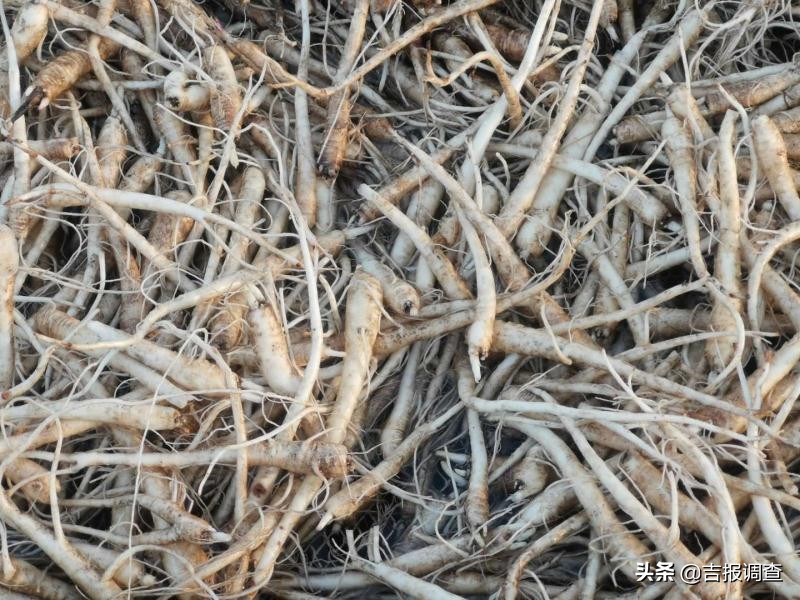 延边朝鲜族特色美食做法,朝鲜族美食手工