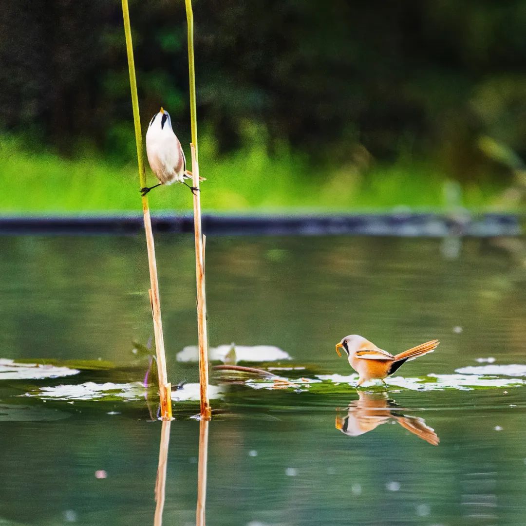 香港第14届全国摄影艺术展,第29届全国摄影艺术展览获奖名单