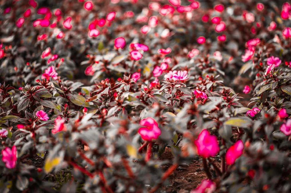 昆明周边自驾风景最好,五一从昆明出发自驾贵州四日游