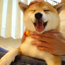 你必须知道的三个宇宙法则,你必须知道的基本法则