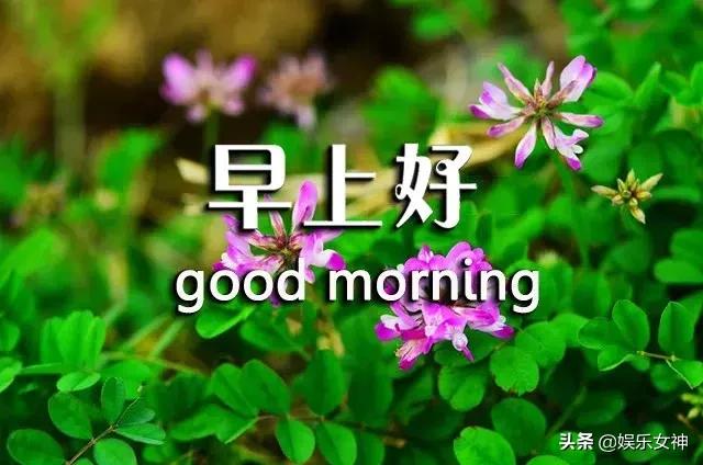 周三问候语简单幽默,早上短信问候语温馨正能量