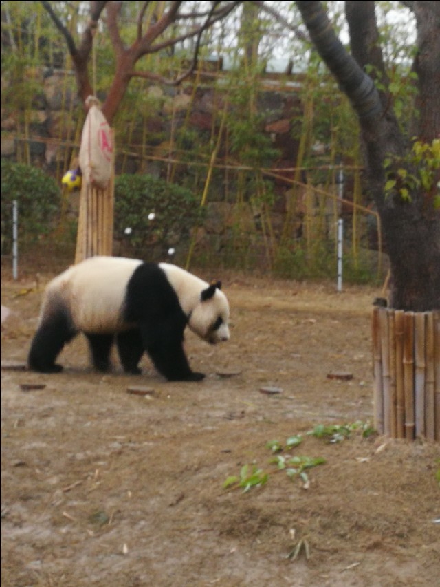 南京江宁区紫清湖温泉度假酒店,南京江宁紫清湖温泉度假村