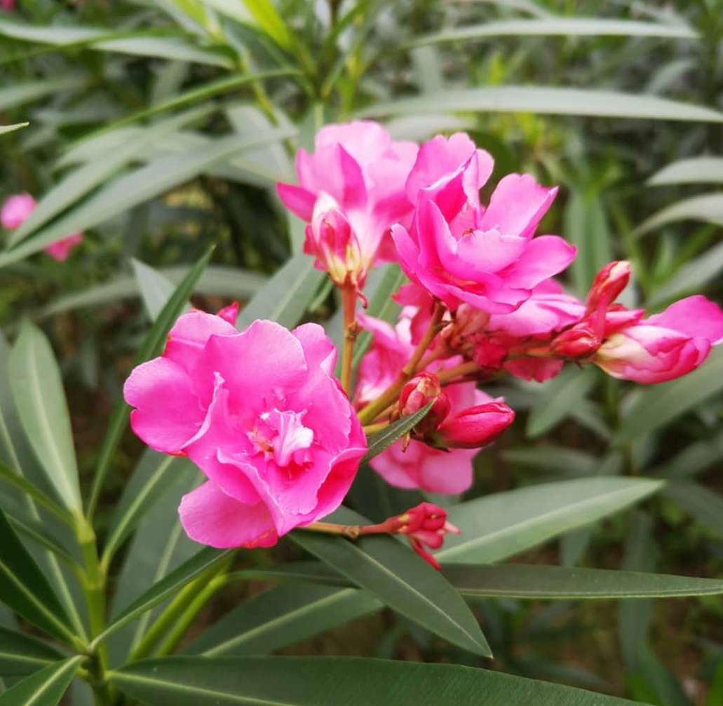 期望薪资是月薪还是年薪,薪资月薪和年薪的区别