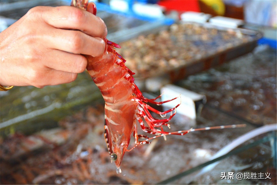 2019三亚海鲜广场,三亚火车头万人海鲜广场海鲜种类