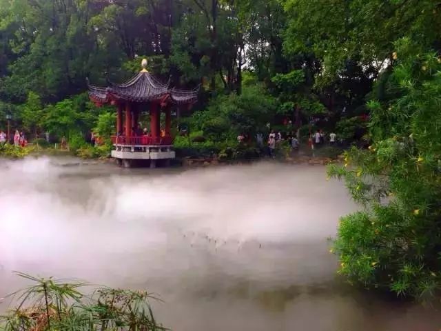 广东旅游攻略自驾游最佳路线,广东旅游攻略自驾游带孩子三天