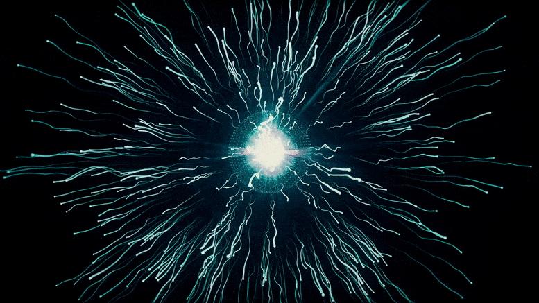 苹果13promotion,苹果13支持promotion吗