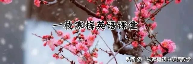 人教版七年级上册第9单元重点,人教版7下10单元知识点梳理