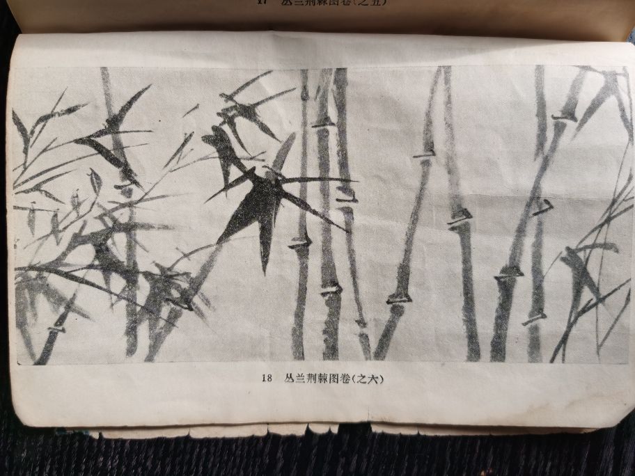 一本书让我对中国水墨产生兴趣影响我绘画梦的首位老师“郑板桥”