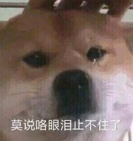 铲屎官都注意了狗狗为什么吐黄水,狗狗呕吐的5个常见原因