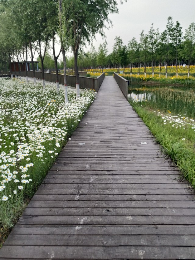 风景优美闲暇好去处,下班休闲好去处