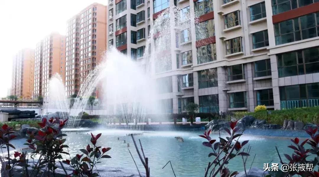 张掖人3年前错过的赚钱机会，现在又来啦