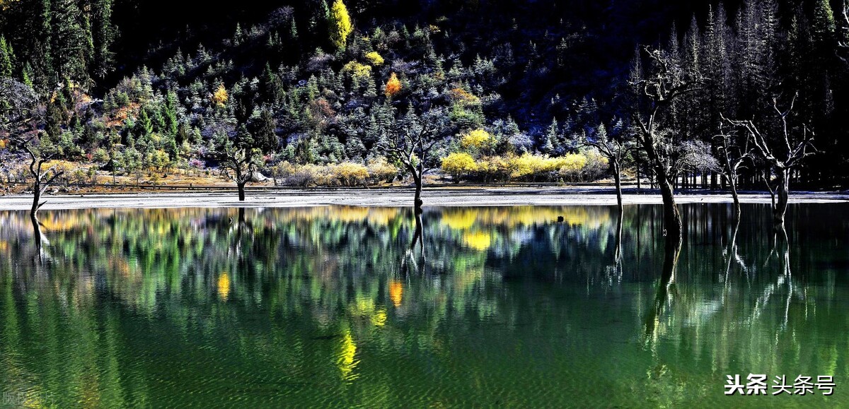 如何找到自己的兴趣爱好,如何找到自己热爱的事业