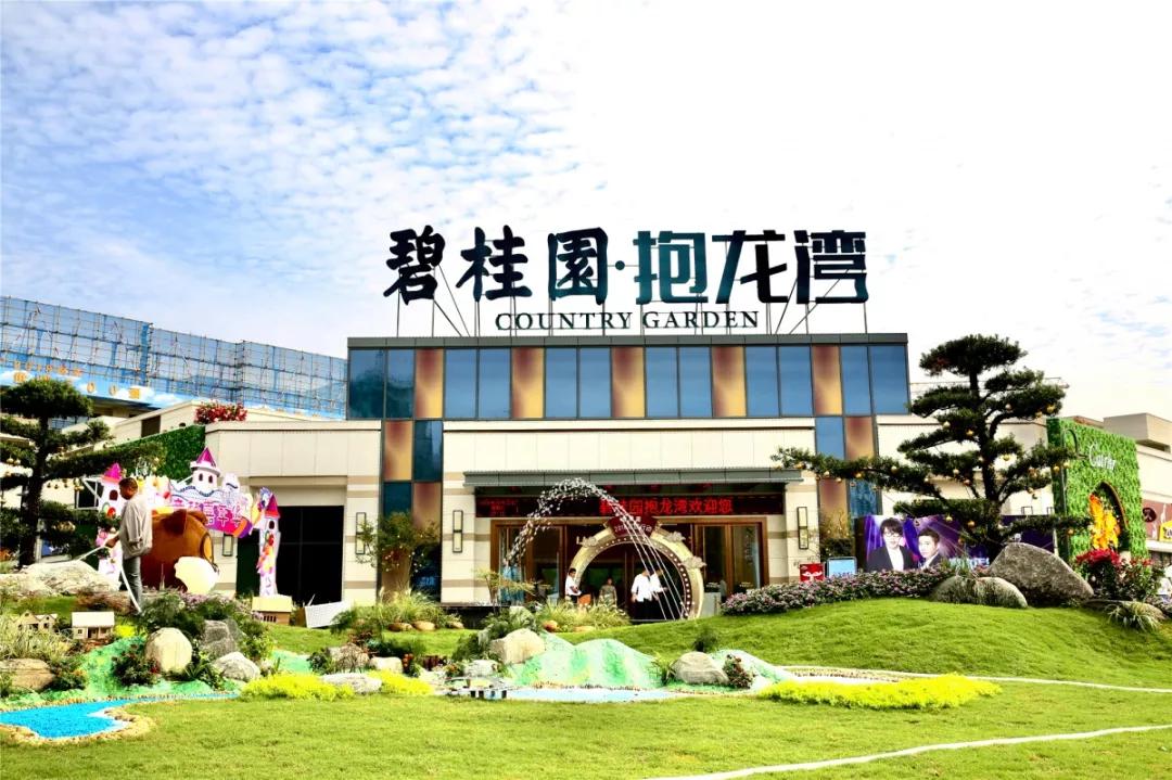 碧桂园南北通透户型讲解,碧桂园120户型分析与大师讲解