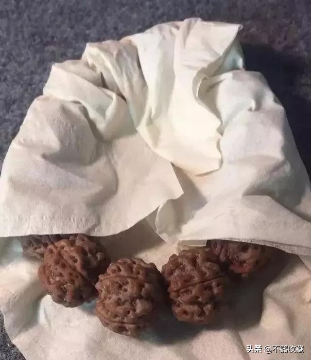 盘花的正确养法,如何避免盘花