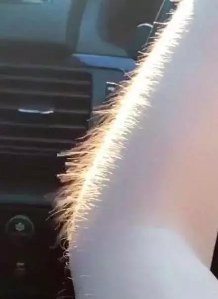 翻车现场：女朋友毛发浓密，我该怎么办?求解！