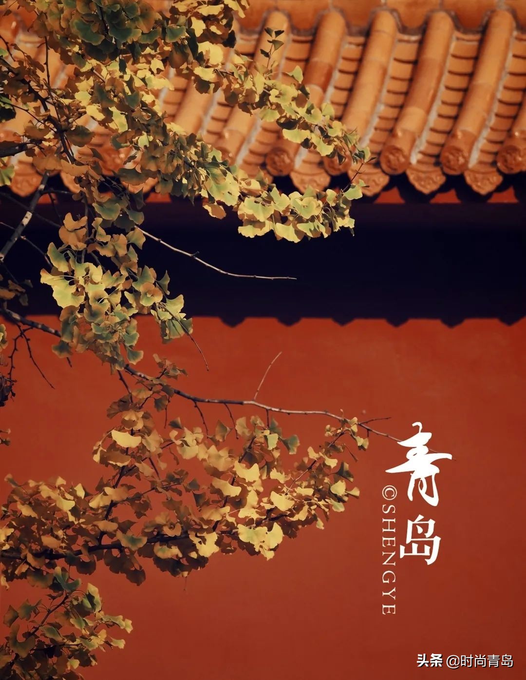 我喜欢故宫,有种红叫故宫红