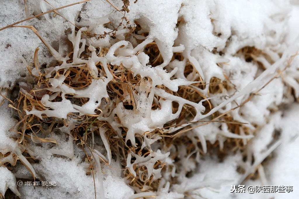 西安冰瀑十大免费景点,西安流峪大峡谷