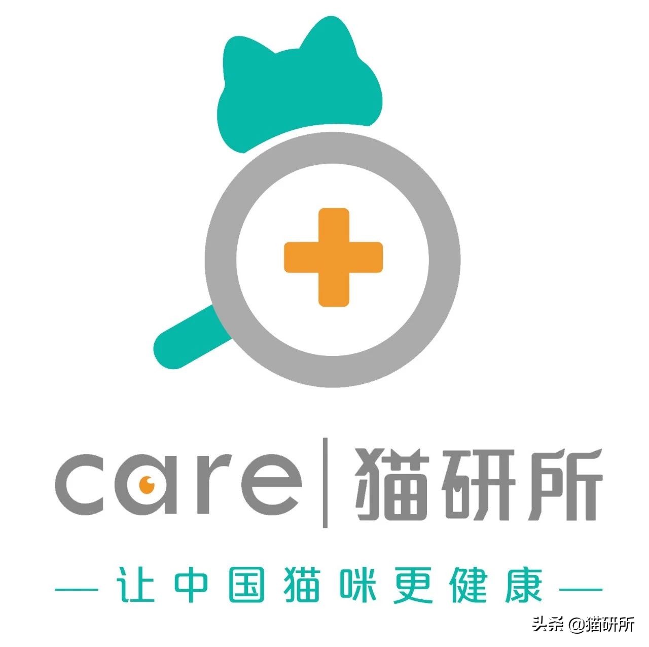 可爱又萌的小奶猫,软萌小奶猫全部视频