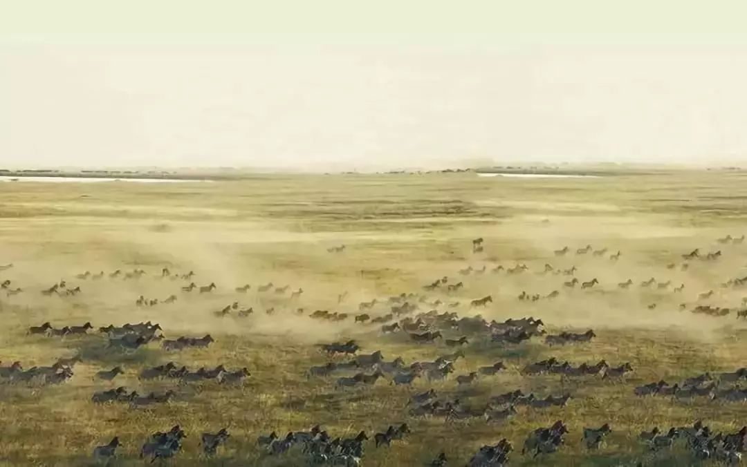 harrods英国奢侈店,harrods上海