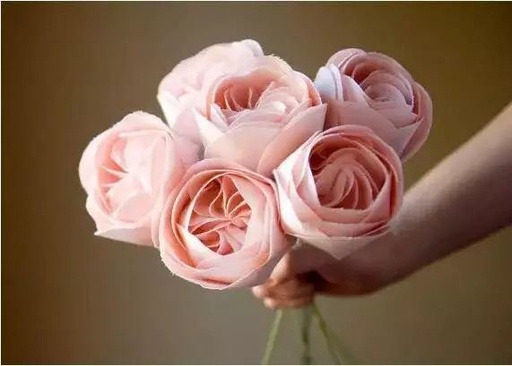 世界十大花卉排行榜名单,世界十大名贵花草