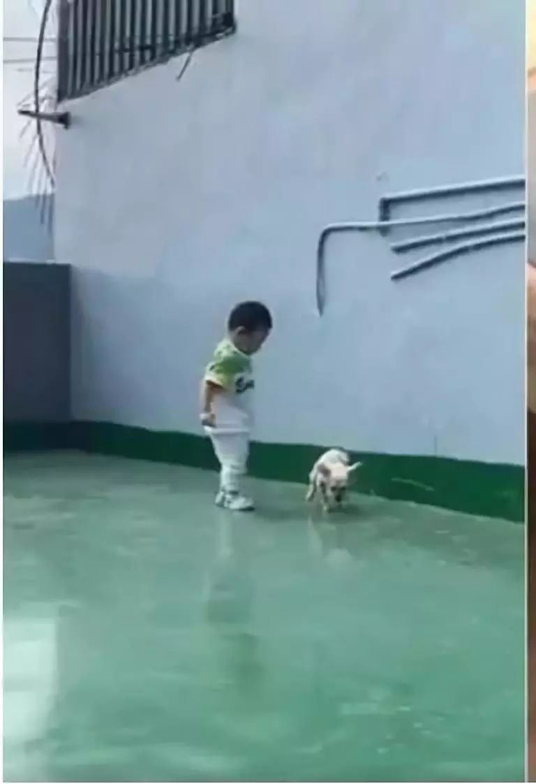 每天黏一起出现姐弟脸！约克夏撞脸小主人，连眯眯眼也同款