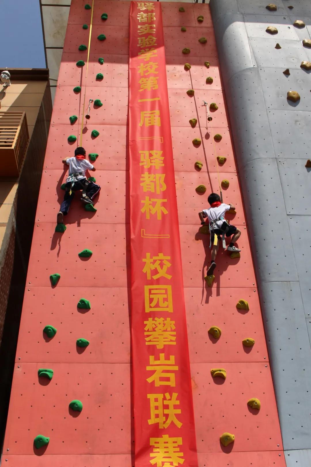 学校开设的各种体育特色课程,高端的小学学校有哪些体育课程