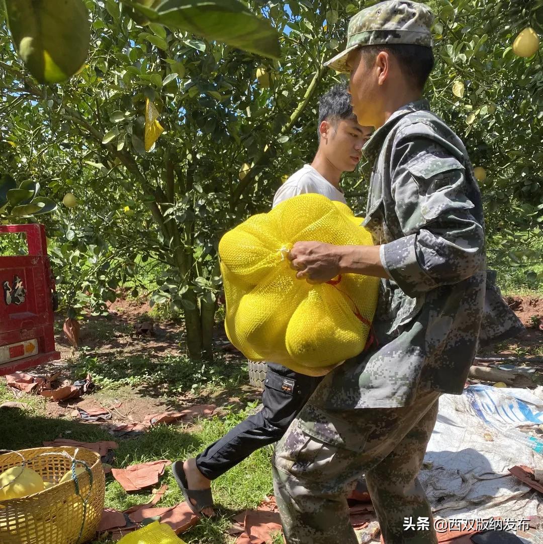 璇辨儜闅炬尅,鍕愪粦鏌氬瓙鍙堝ぇ鍙堢敎